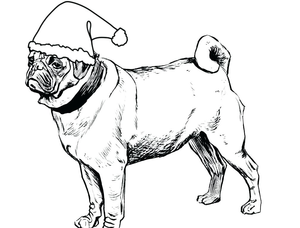 1010x768 Pug Coloring Page Get The Coloring Page Pug Free Pages For Adults