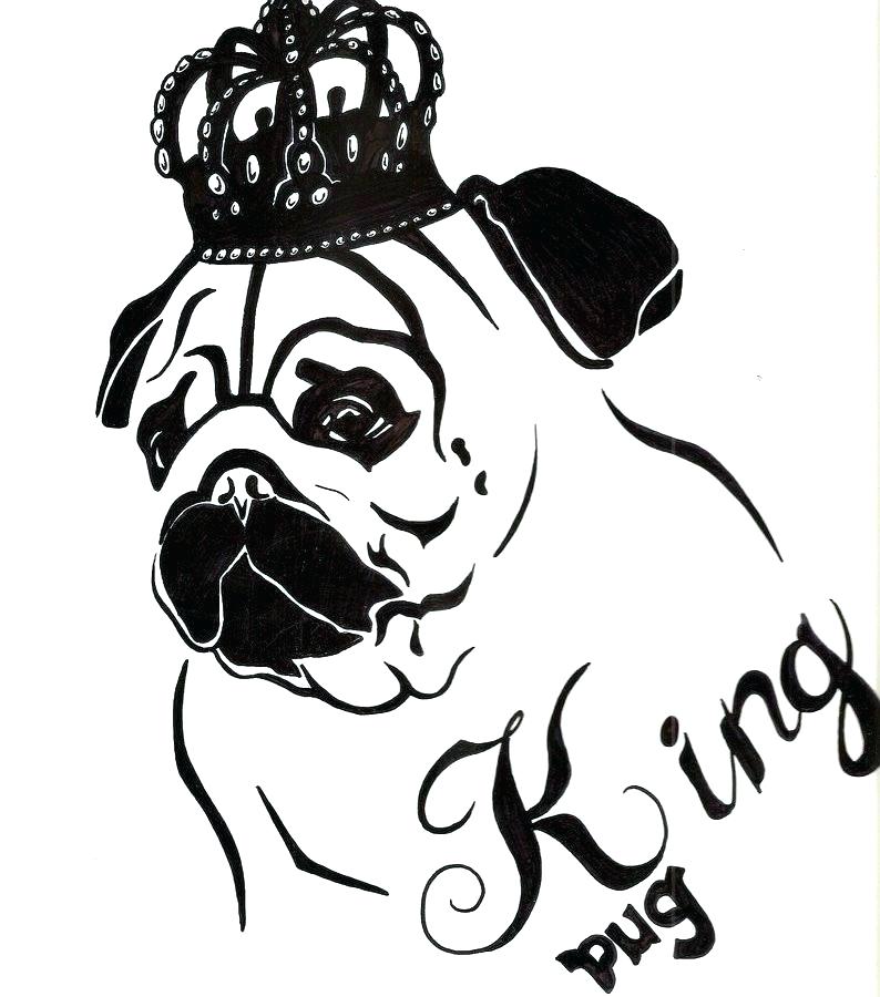 794x900 Pug Coloring Page Pug Puppy Coloring Pages Epic Pug Coloring Page