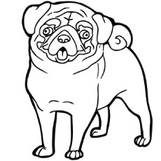 230x230 Pug Coloring Pages Top Free Printable Dog Online
