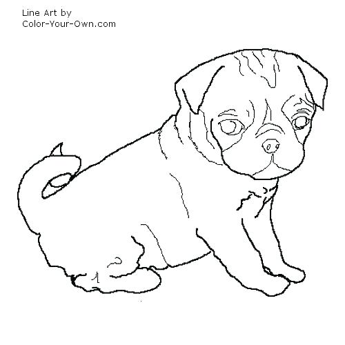 500x500 Pug Colouring Pages Printable Coloring Page In Jumper