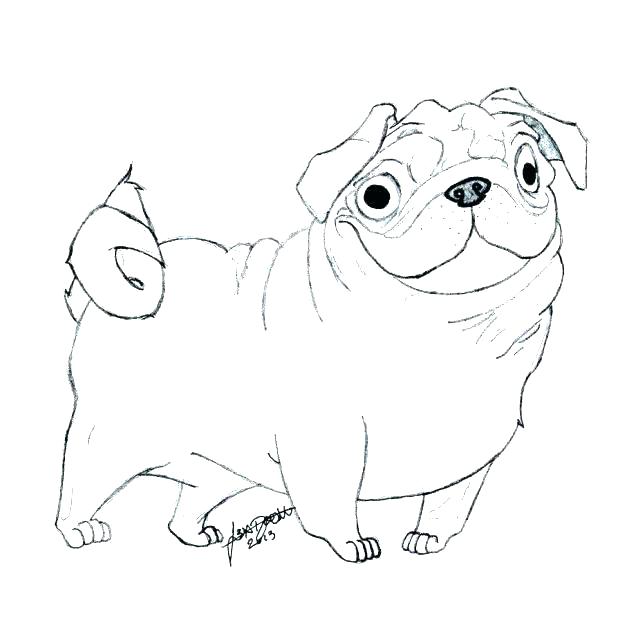 618x618 Pug Colouring Pages Printable Pug Coloring Pages In Addition