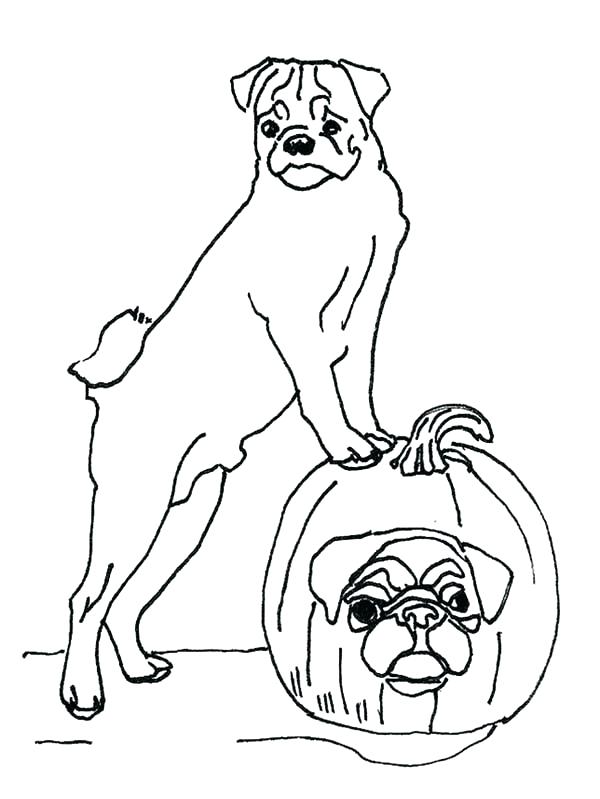 600x799 Free Coloring Pages Dogs Coloring Pages Dog Pug Dog Coloring Pages