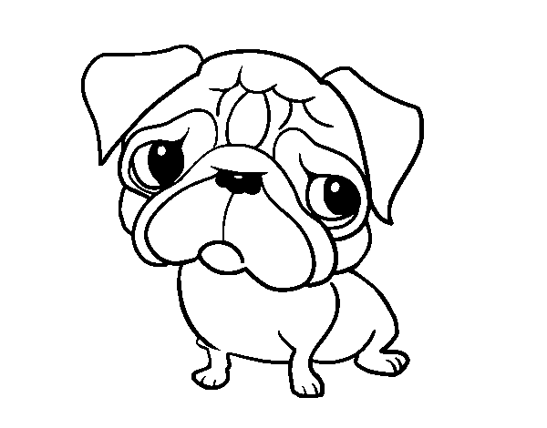 600x470 Pug Coloring Pages