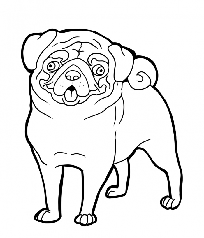 700x816 Pug Coloring Pages Beautiful Pug Dog Coloring Pages Az Coloring