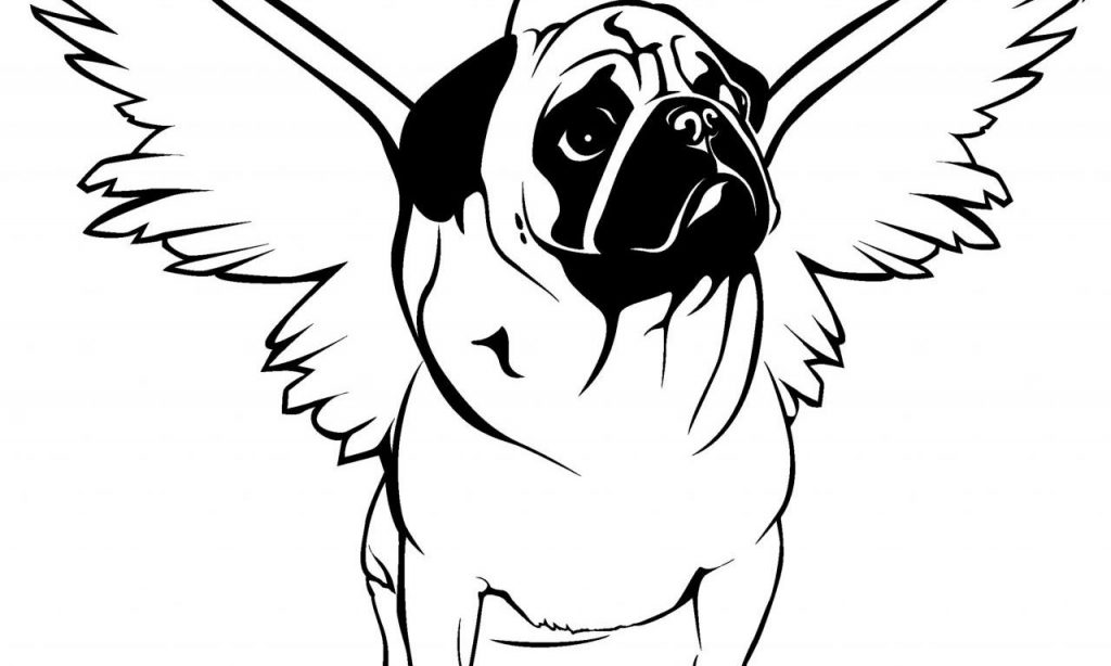1024x614 Pug Coloring Pages Best For Kids Dog Pictures To Color Free