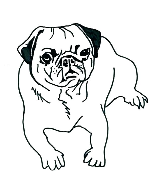 600x735 Pug Dog Coloring Sheets Pages For Amazing Best Of Art Single Page