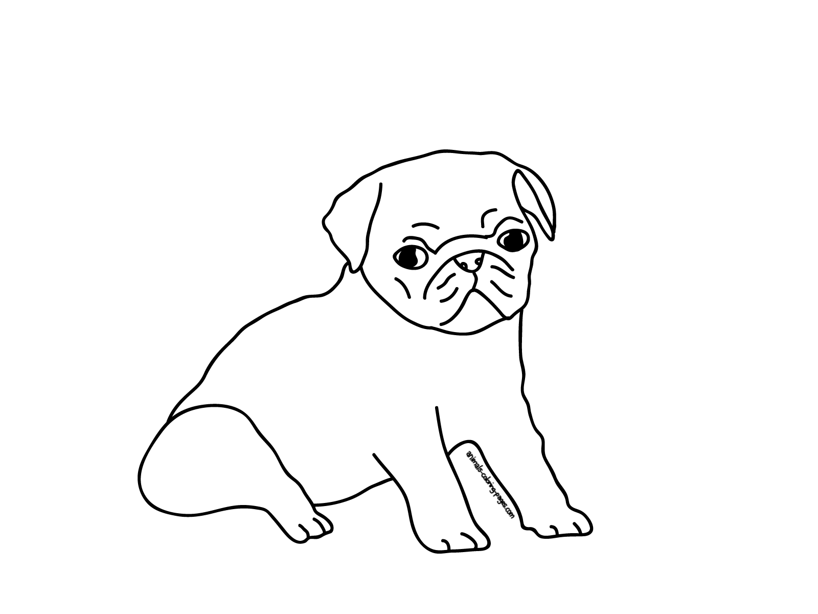 1600x1200 Pug Coloring Pages Fabulous Cute Pug Puppy Coloring Pages With Pug