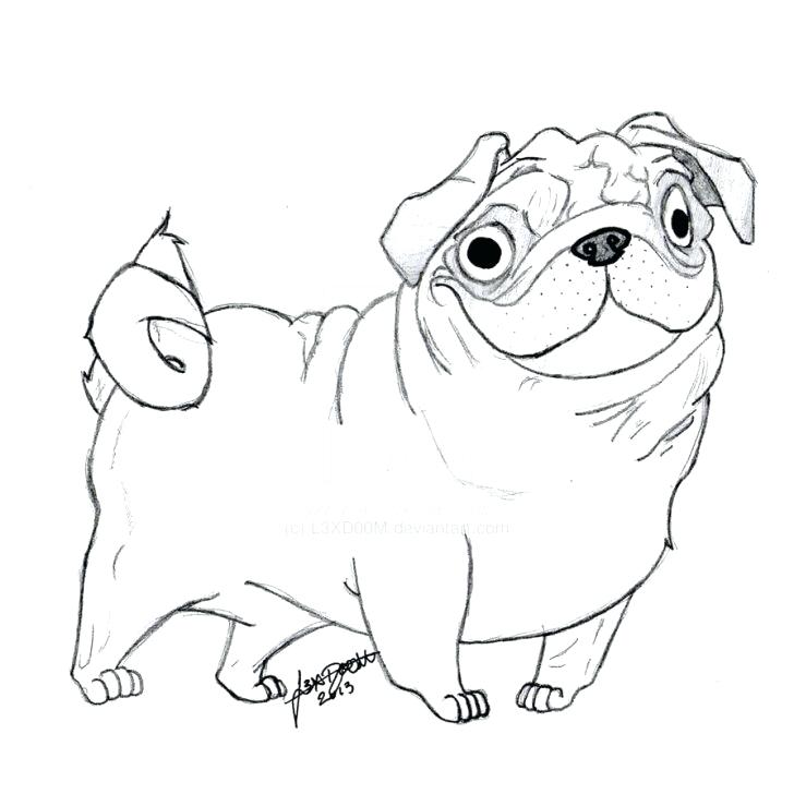 728x728 Pug Coloring Pages Medium Size Of Pug Coloring Pages