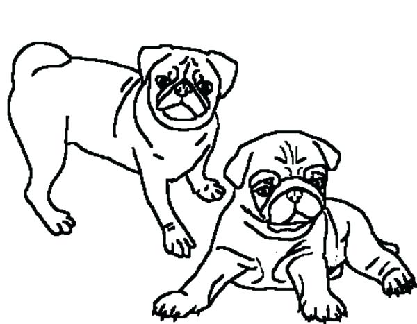 600x467 Pug Coloring Pages Two Beautiful Pug Coloring Page Pug Puppy
