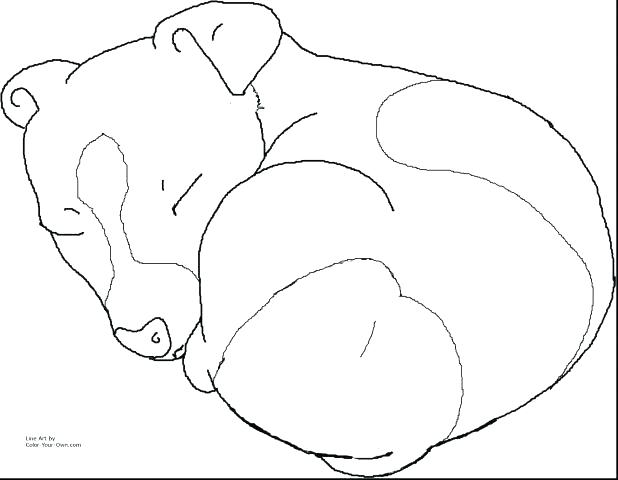 618x480 Sly Cooper Coloring Pages Pug Coloring Pages In Addition