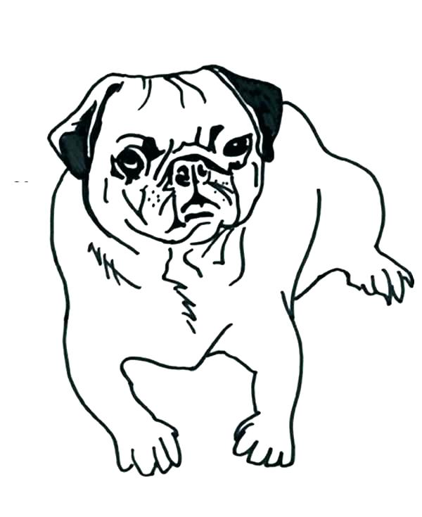 600x735 Pug Coloring Pages Amazing Pug Coloring Pages Best Of Art Single