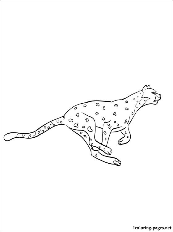 Puma Coloring Pages at GetDrawings | Free download