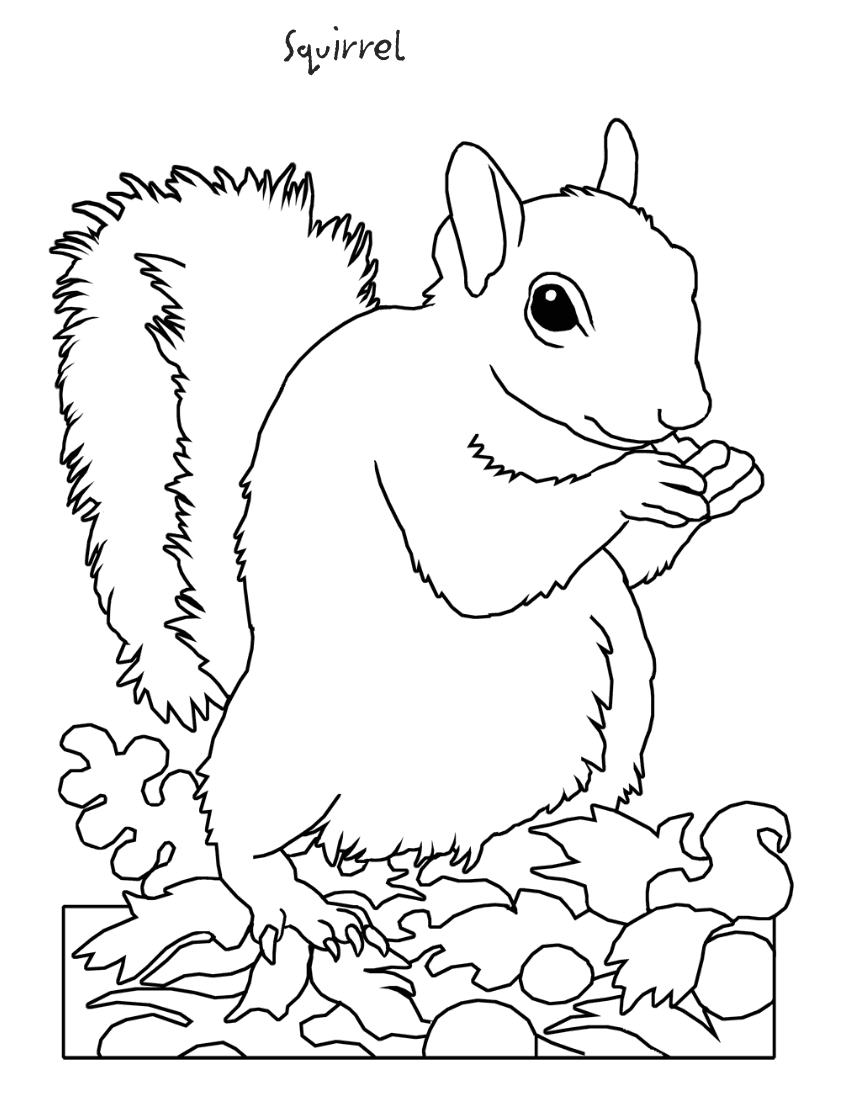 849x1099 Puma Coloring Pages Gallery Coloring For Kids