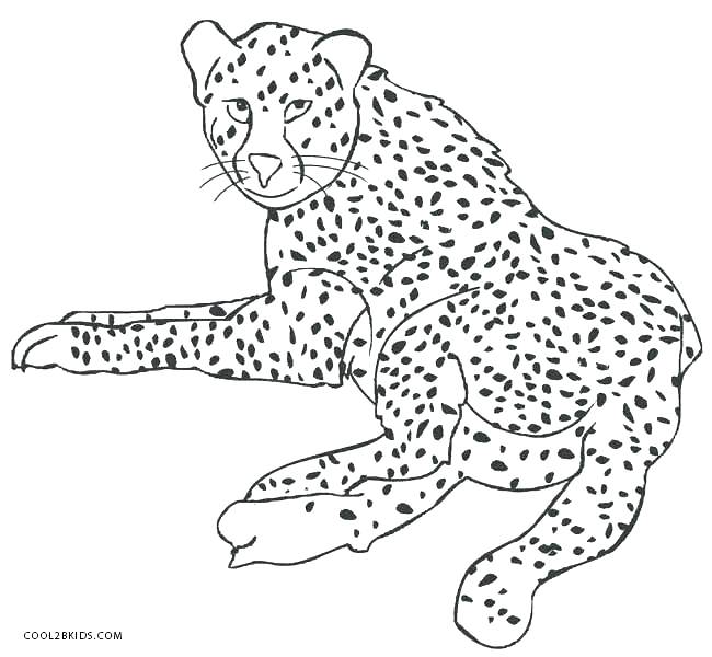 The best free Puma coloring page images. Download from 30 free coloring ...