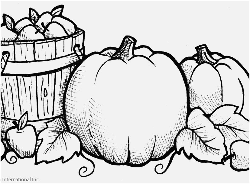 827x609 The Most Effective Footage Pumpkin Coloring Pages Memorable