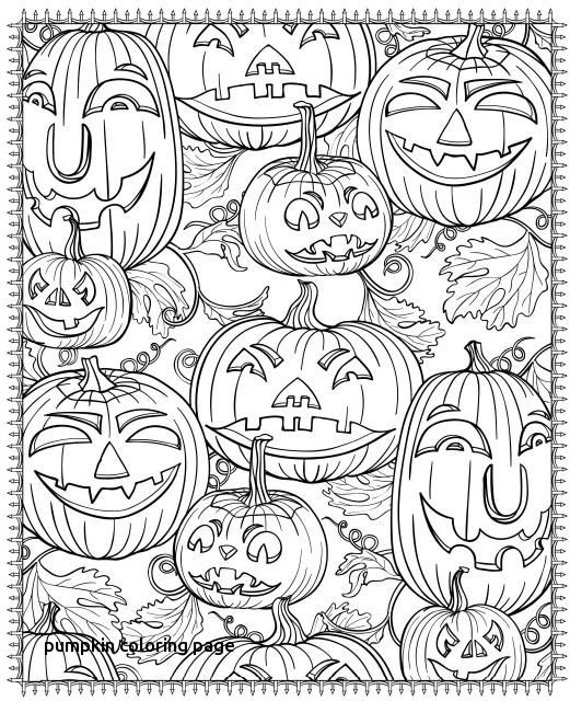 521x640 Pumpkin Coloring Sheets Adult Coloring Pages For Pumpkin Coloring