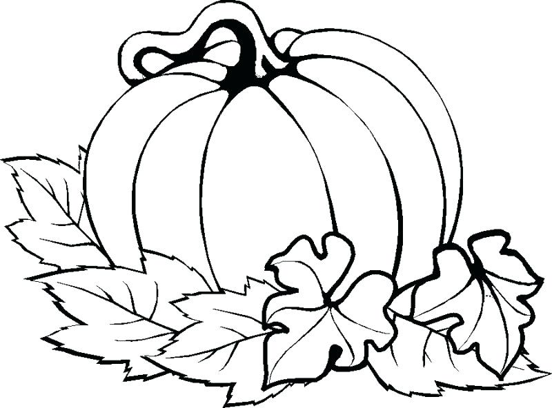 800x592 Thanksgiving Coloring Pages Kindergarten Pumpkin Easy Thanksgiving