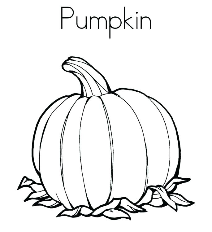 685x749 Free Pumpkin Coloring Pages Pumpkin Coloring Pages Free Pumpkin