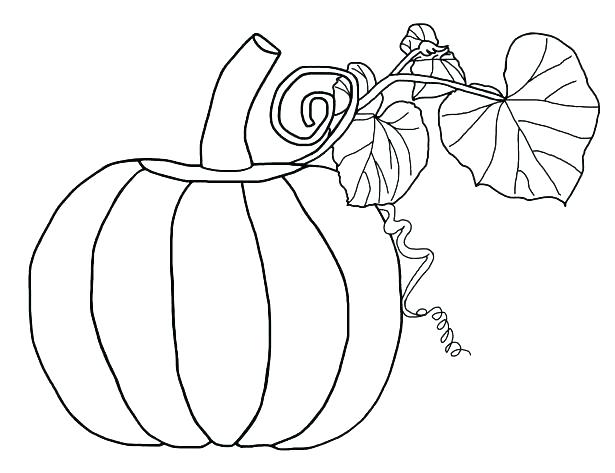 615x473 Pumpkin Coloring Pages Free Free Printable Pumpkin Coloring Pages