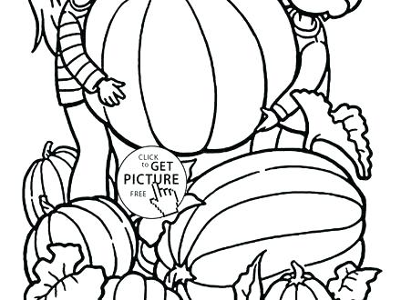 440x330 Free Pumpkin Coloring Pages Preschoolers Printable Kids Sheets