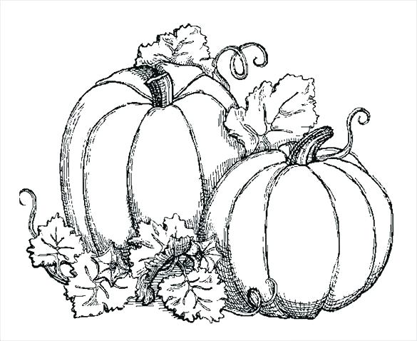 585x478 Pumpkin Leaves Coloring Pages Coloring Page Fall Download Coloring