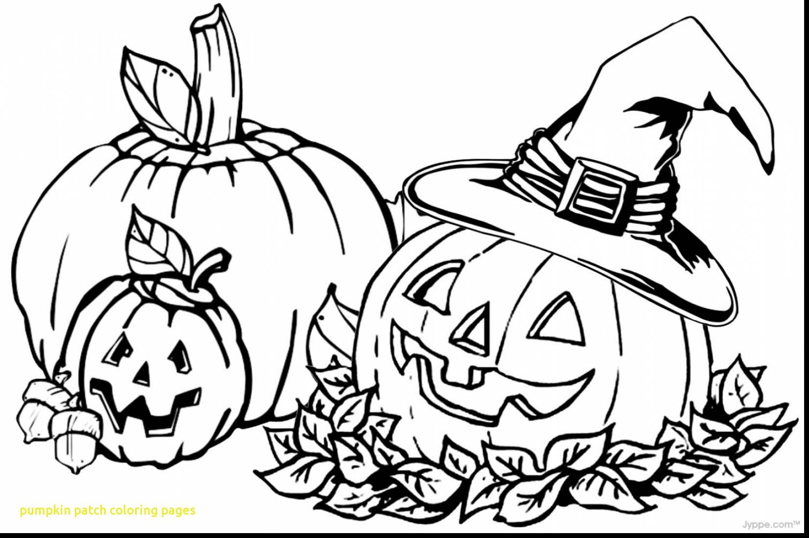 1653x1100 Pumpkin Patch Coloring Pages With Superb For Alluring Fall Sheets