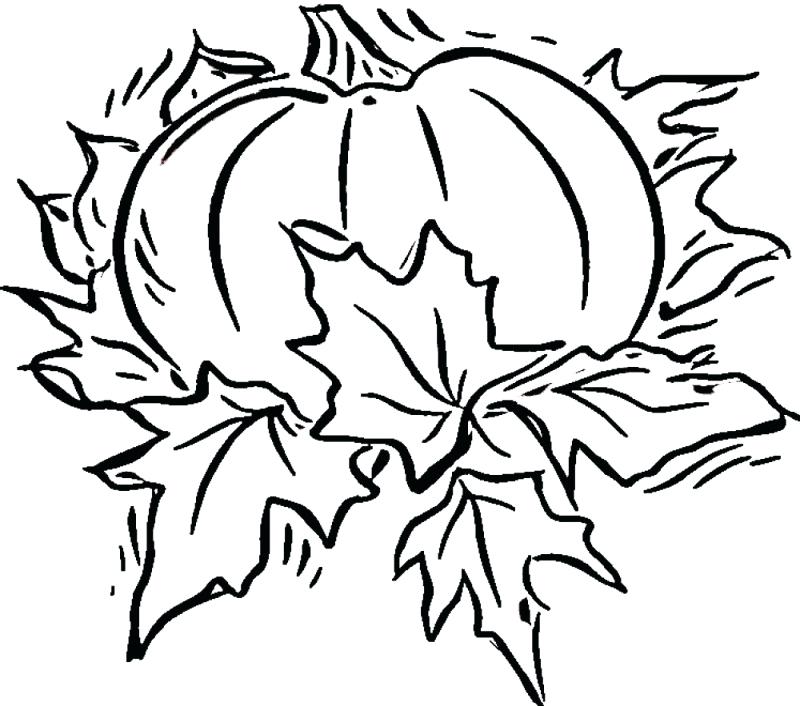 800x706 Fall Coloring Sheets Printable