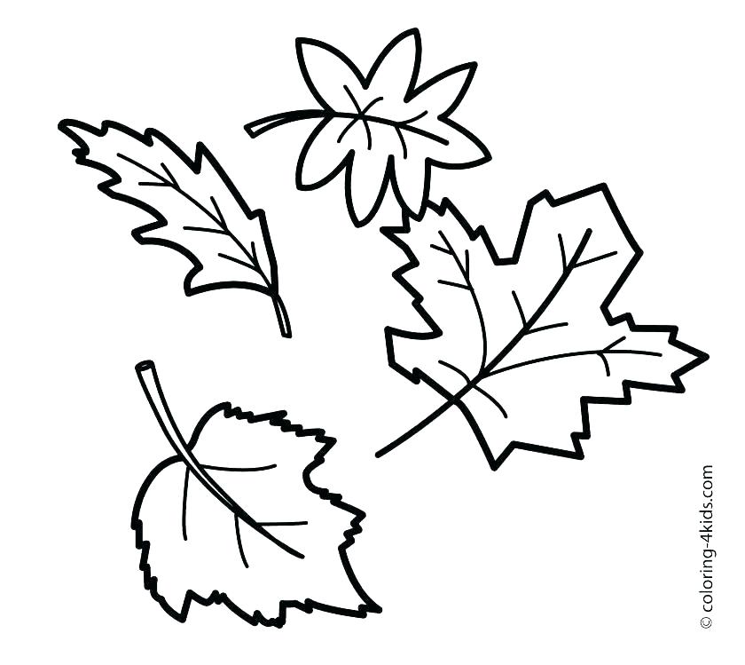 840x749 Leaf Coloring Pages Pumpkin Leaves Coloring Pages Leaves Color