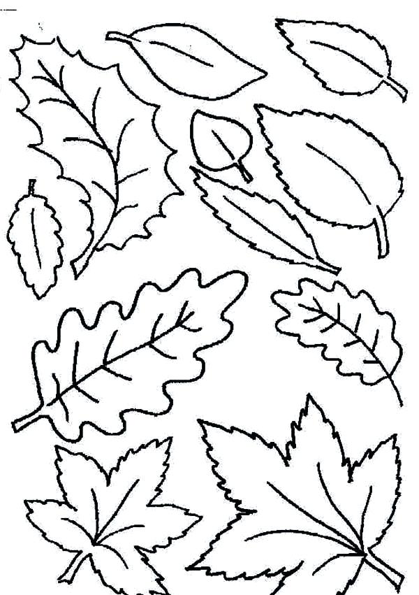 600x851 Leaves Coloring Page Drawn Marijuana Coloring Page Leaf Coloring
