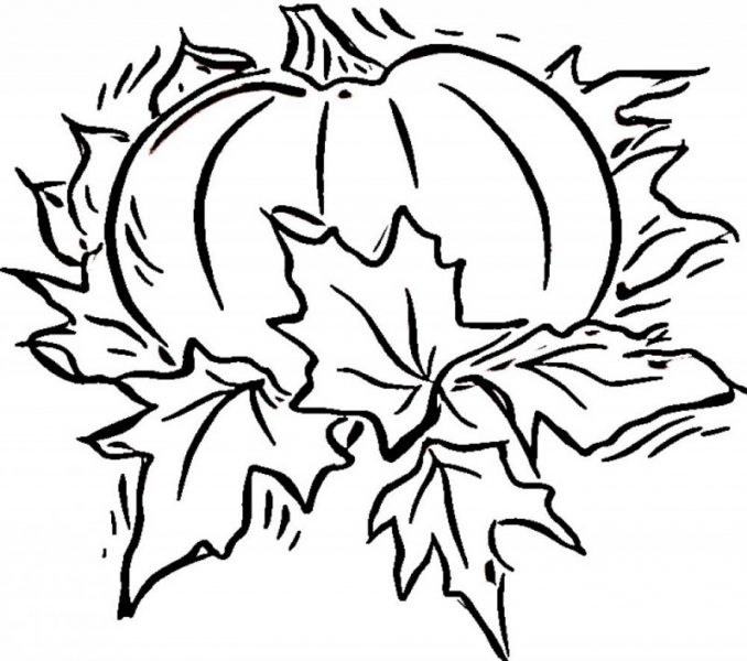 678x600 Pumpkin And Leaves Coloring Pages Coloring Page