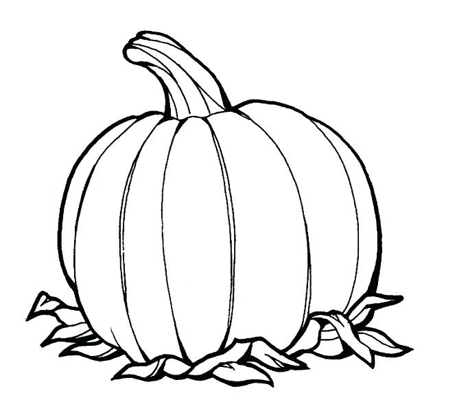 666x605 Pumpkin Leaves Coloring Pages
