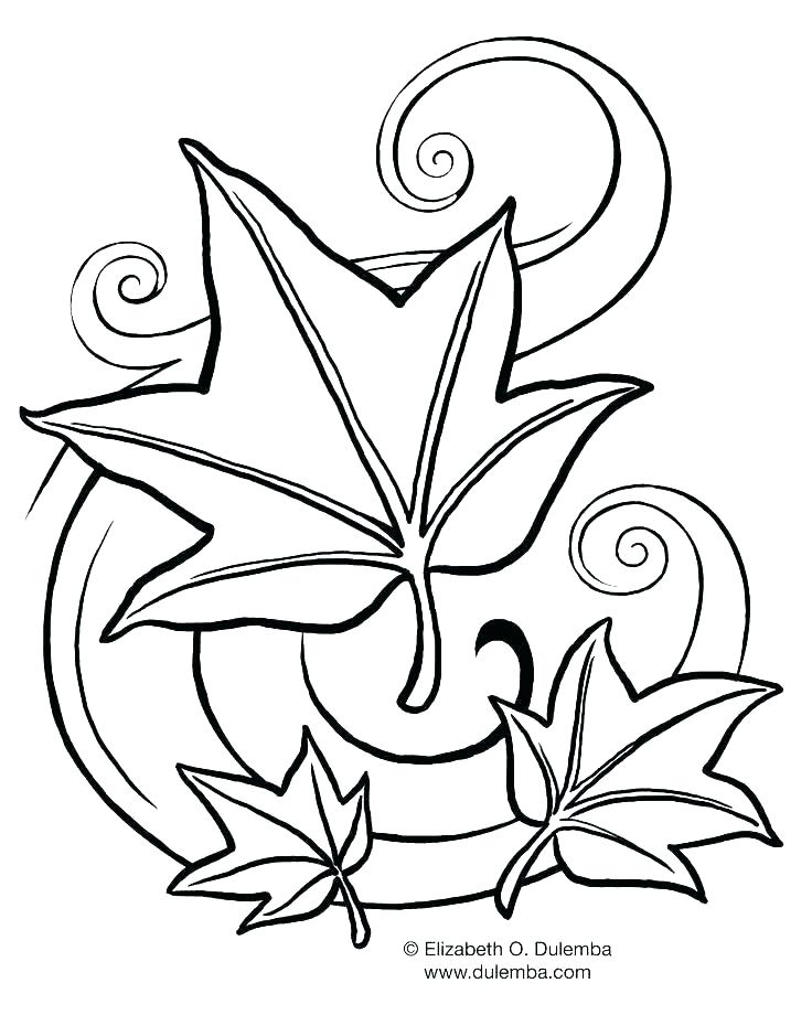 736x920 Pumpkin And Leaves Coloring Pages