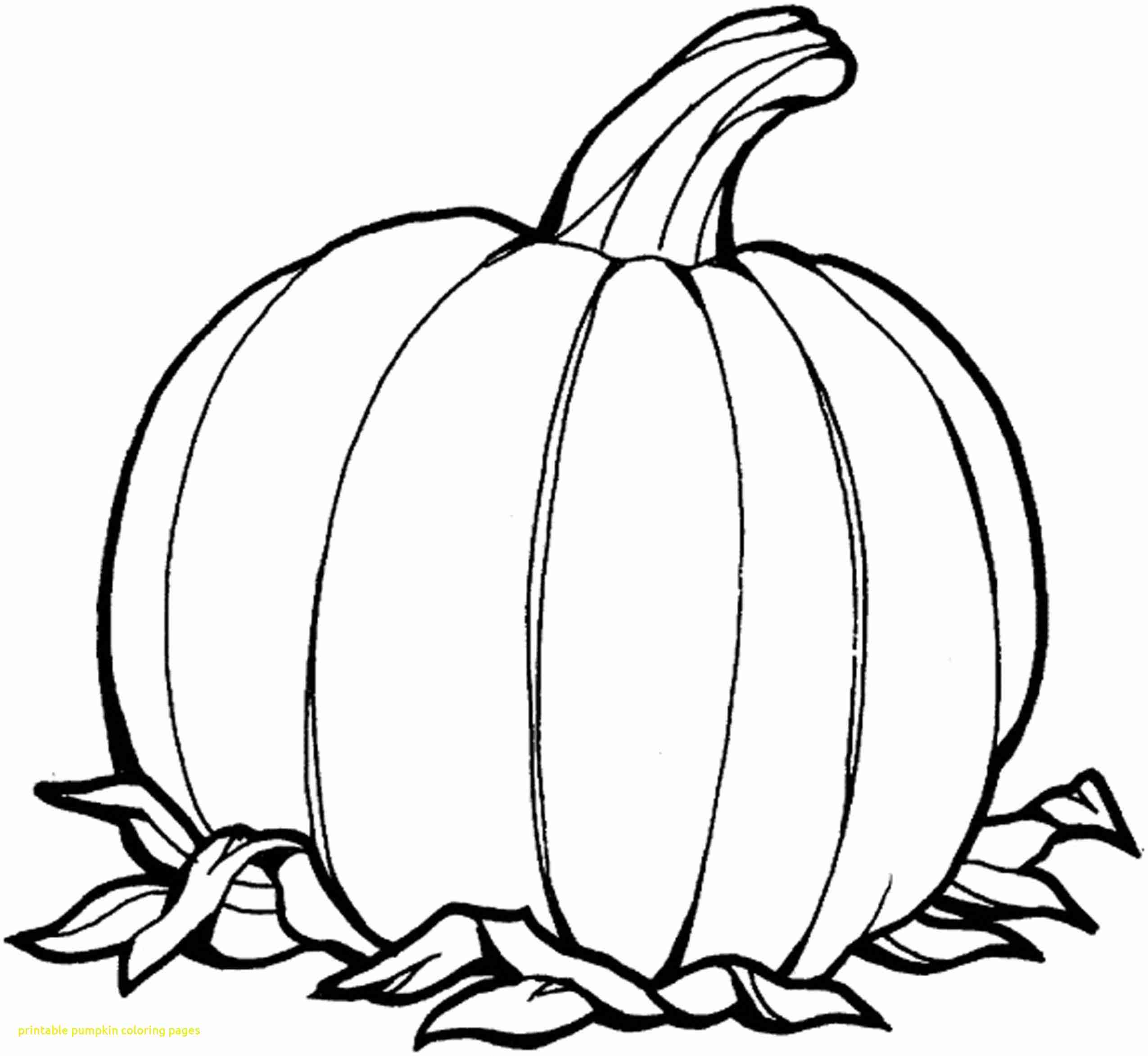 2550x2345 This Is Best Pumpkin Outline Printable Coloring Pages