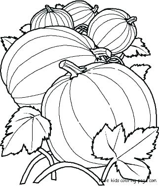 322x377 Pumpkin Patch Coloring Page Or Pumpkin Patch Coloring Page Pumpkin