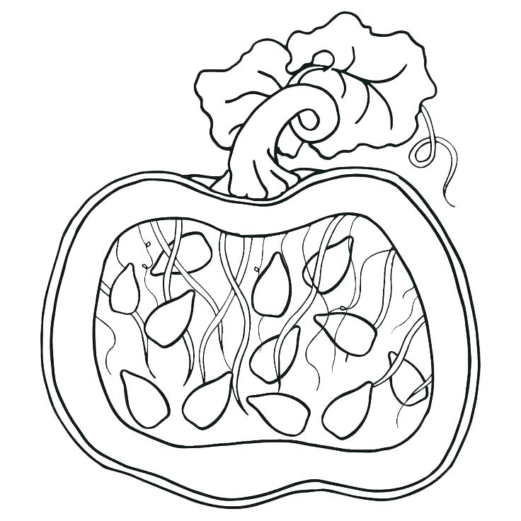 736x736 Pumpkin Coloring Pages Printable Pumpkin Patch Coloring Pages