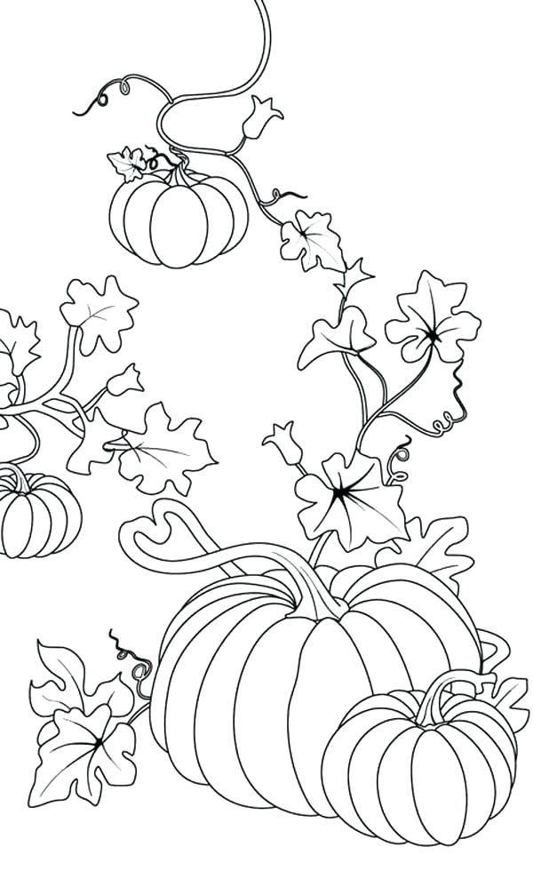 600x980 Pumpkin Coloring Sheet Free Coloring Pumpkin Patch Coloring Pages