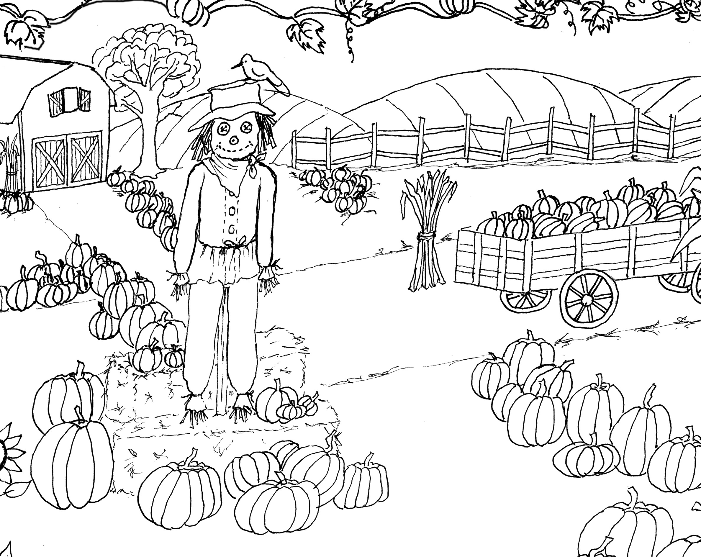 2376x1888 Pumpkin Patch Coloring Pages Sunglassesray