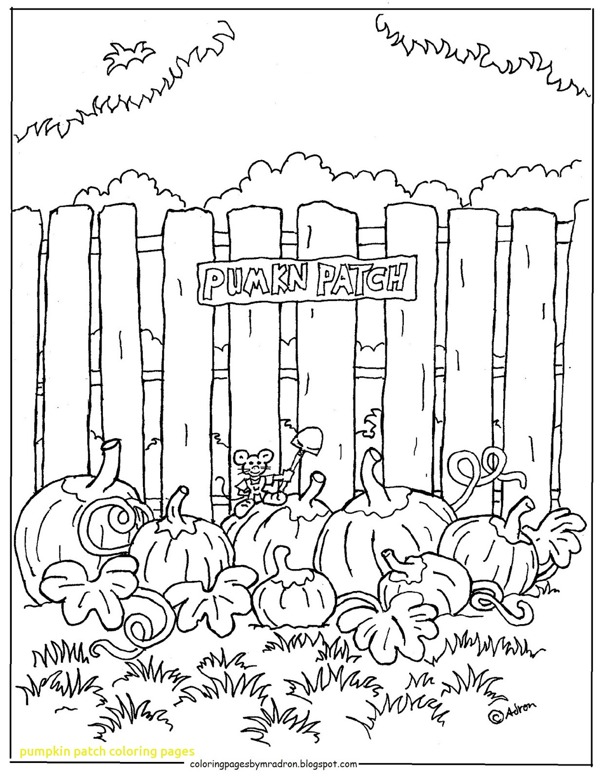 1240x1600 Pumpkin Patch Coloring Pages With Pumpkin Patch Coloring Pages