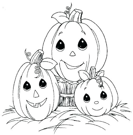 505x512 Pumpkin Print Out Coloring Pages Vanda