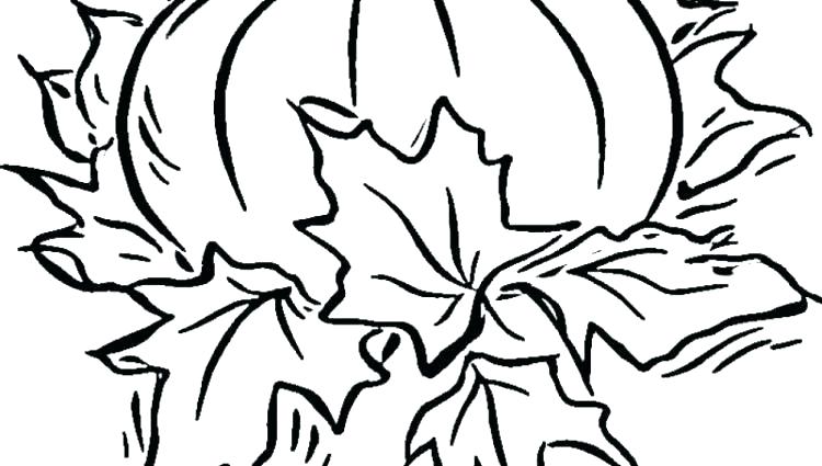 750x425 Pumpkin Coloring Pages Free Printable Pumpkin Patch Coloring Pages