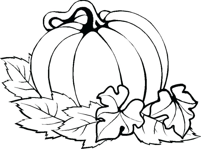 800x592 Picture Of Pumpkin To Color Pumpkin Color Pages Printable