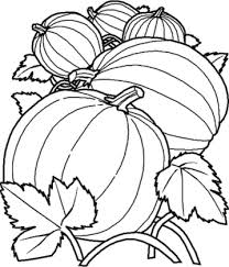 208x243 Pumpkin Coloring Pages Pumpkin Vines Coloring Pages Kids