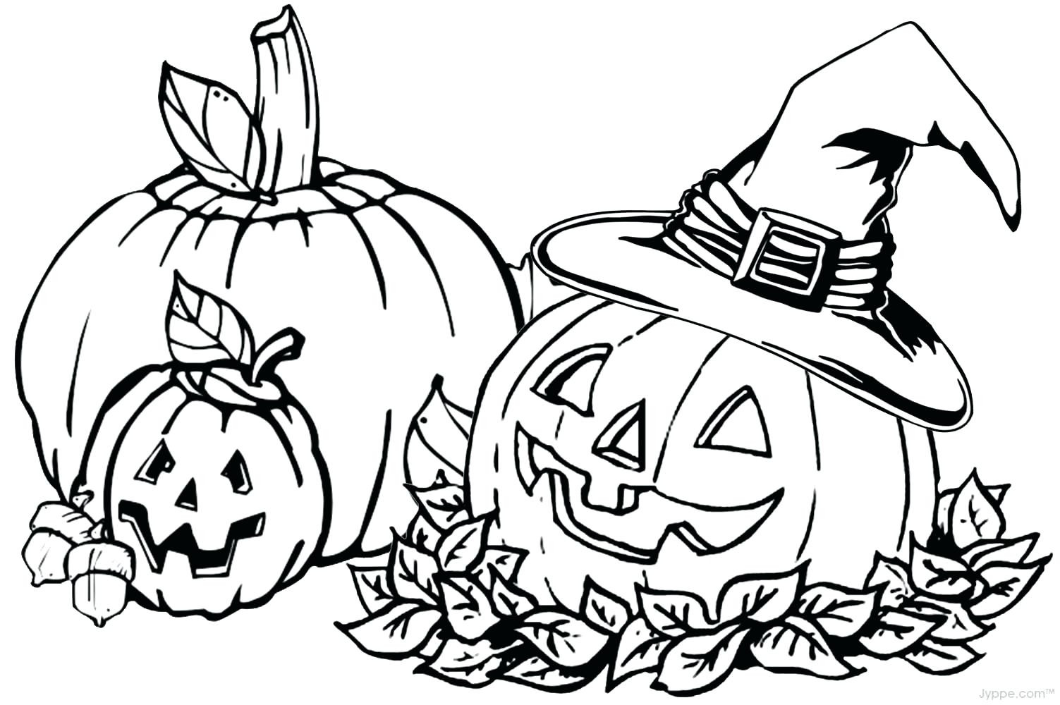 1503x1000 Pumpkin Coloring Sheets Adorable Pictures Tixac