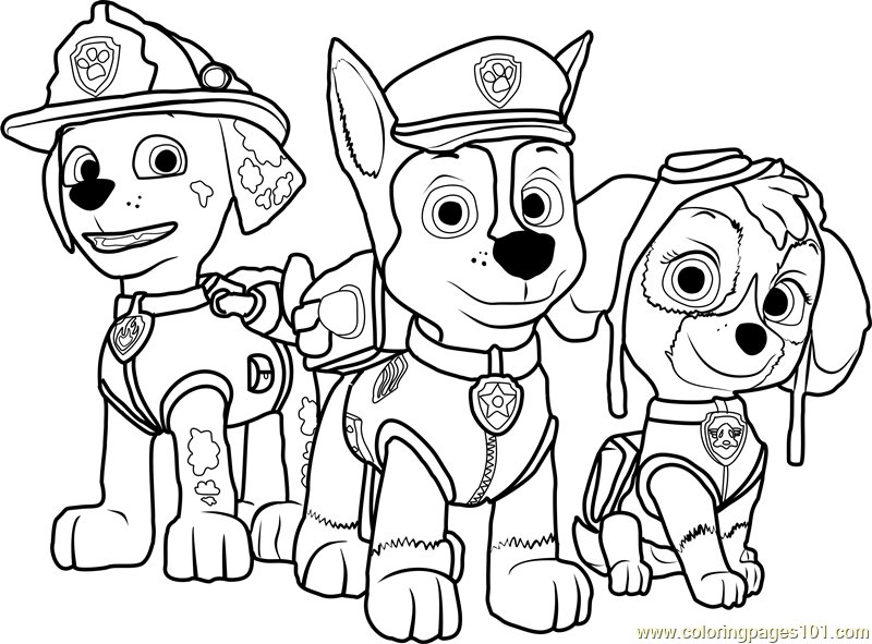 800x591 Paw Patrol Coloring Page