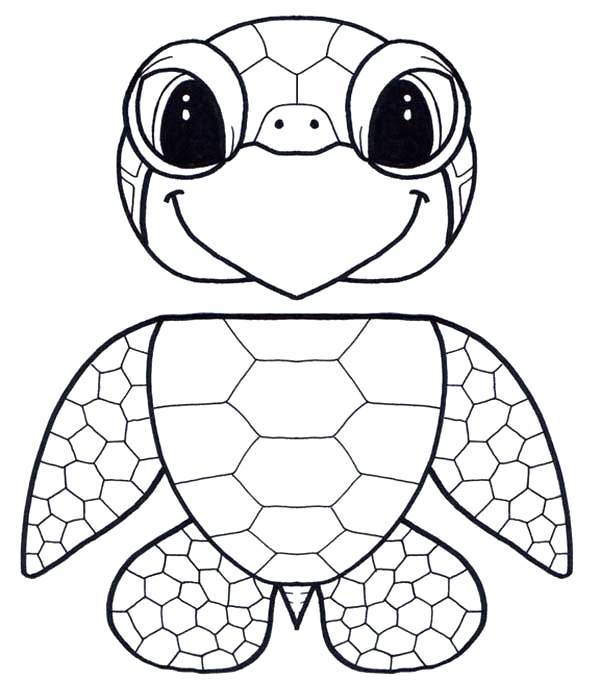 600x680 Printable Turtle Coloring Pages Printable Turtle Coloring Pages