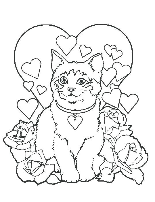 539x701 Kitten Puppy Coloring Pages Coloring Pages Kittens Coloring Pages