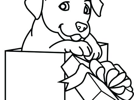 440x330 Puppy And Kitten Coloring Pages New Puppy And Kitten Coloring