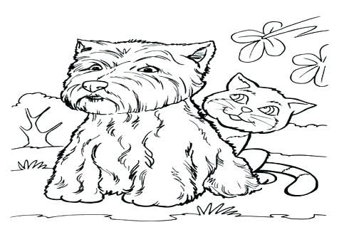476x333 Puppy And Kitten Coloring Pages Very Cute Puppies And Kittens