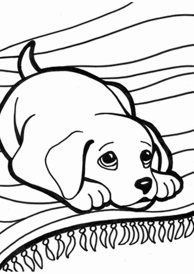 826x1169 Puppy Kitten Coloring Page Free Download Amazing And Pages Olegratiy