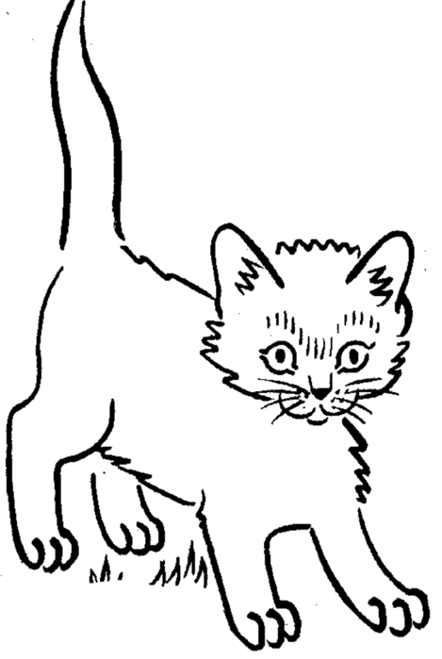 646x962 Kitten Coloring Pages